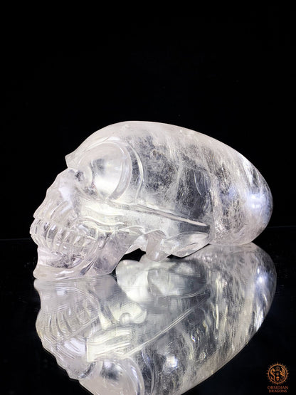 Imposant Crâne de Cristal Alien en Cristal de Roche - Rare | obsidian dragons