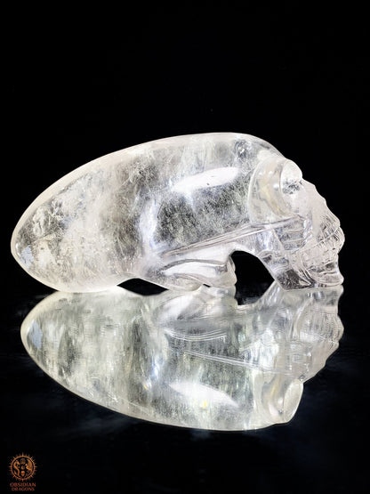 Imposant Crâne de Cristal Alien en Cristal de Roche - Rare | obsidian dragons