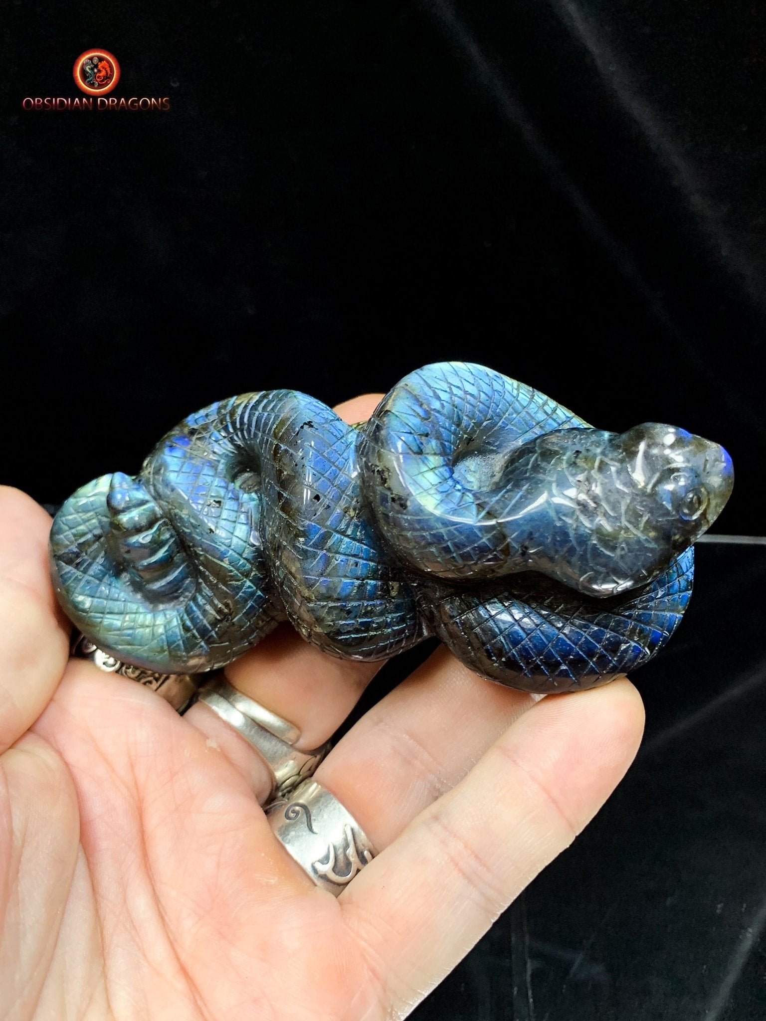 Serpent en Labradorite - Sculpture Rare et Art Exceptionnel | obsidian dragons