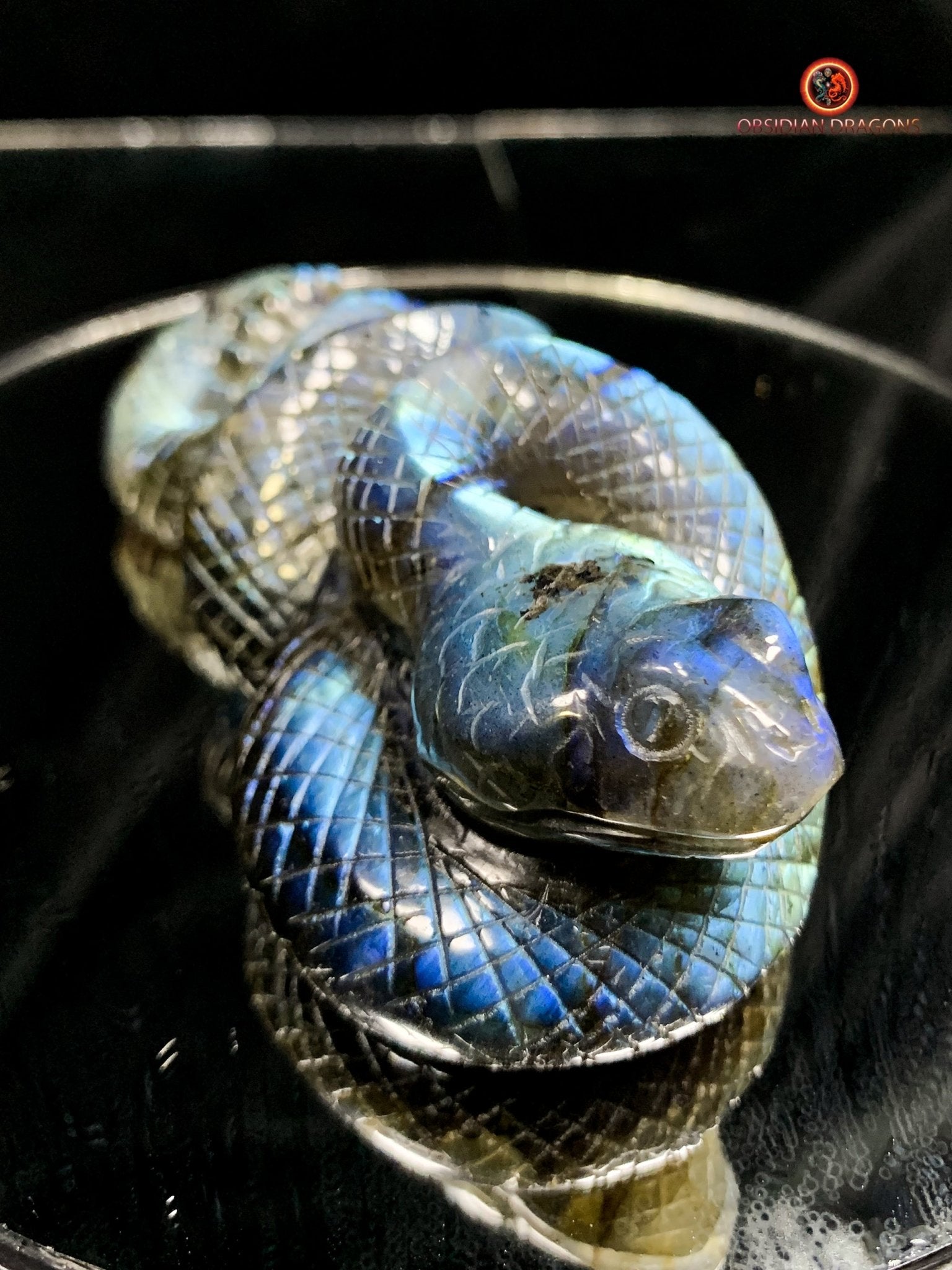 Serpent en Labradorite - Sculpture Rare et Art Exceptionnel | obsidian dragons
