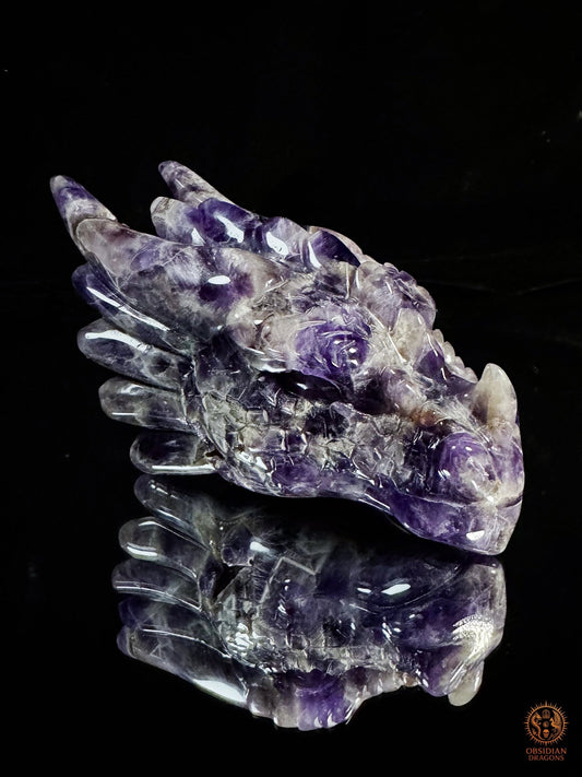 Tête de Dragon en Améthyste Chevron – Dragon de collection | obsidian dragons