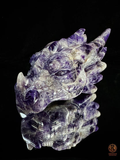 Tête de Dragon en Améthyste Chevron – Dragon de collection | obsidian dragons