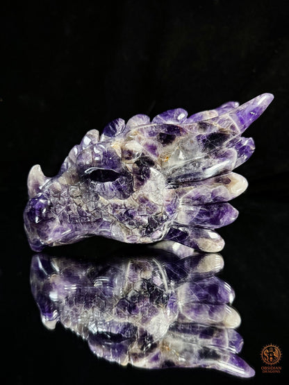 Tête de Dragon en Améthyste Chevron – Dragon de collection | obsidian dragons