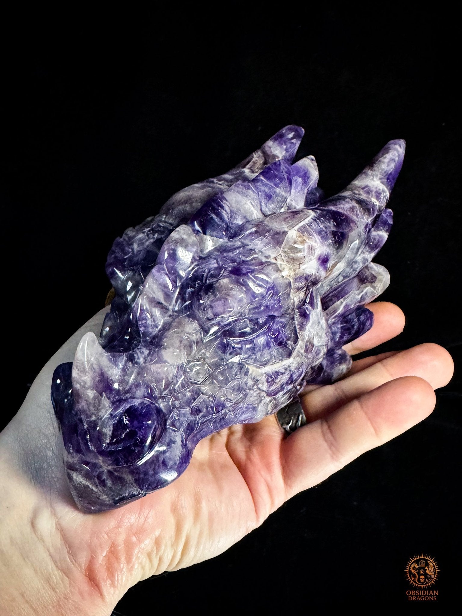 Tête de Dragon en Améthyste Chevron – Dragon de collection | obsidian dragons