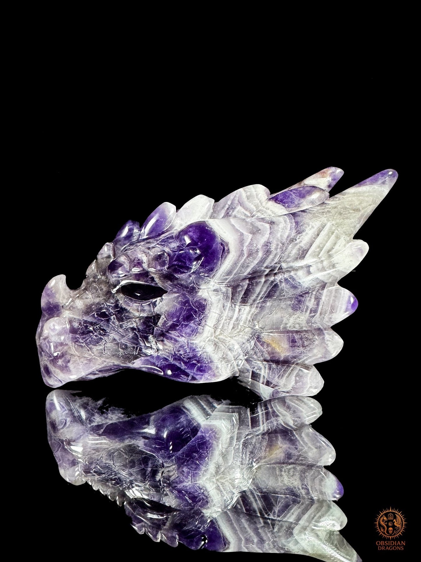 Tête de dragon en améthyste chevron - Le visionnaire | obsidian dragons