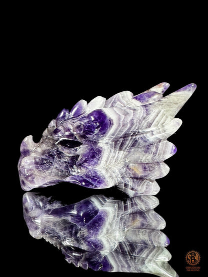 Tête de dragon en améthyste chevron - Le visionnaire | obsidian dragons