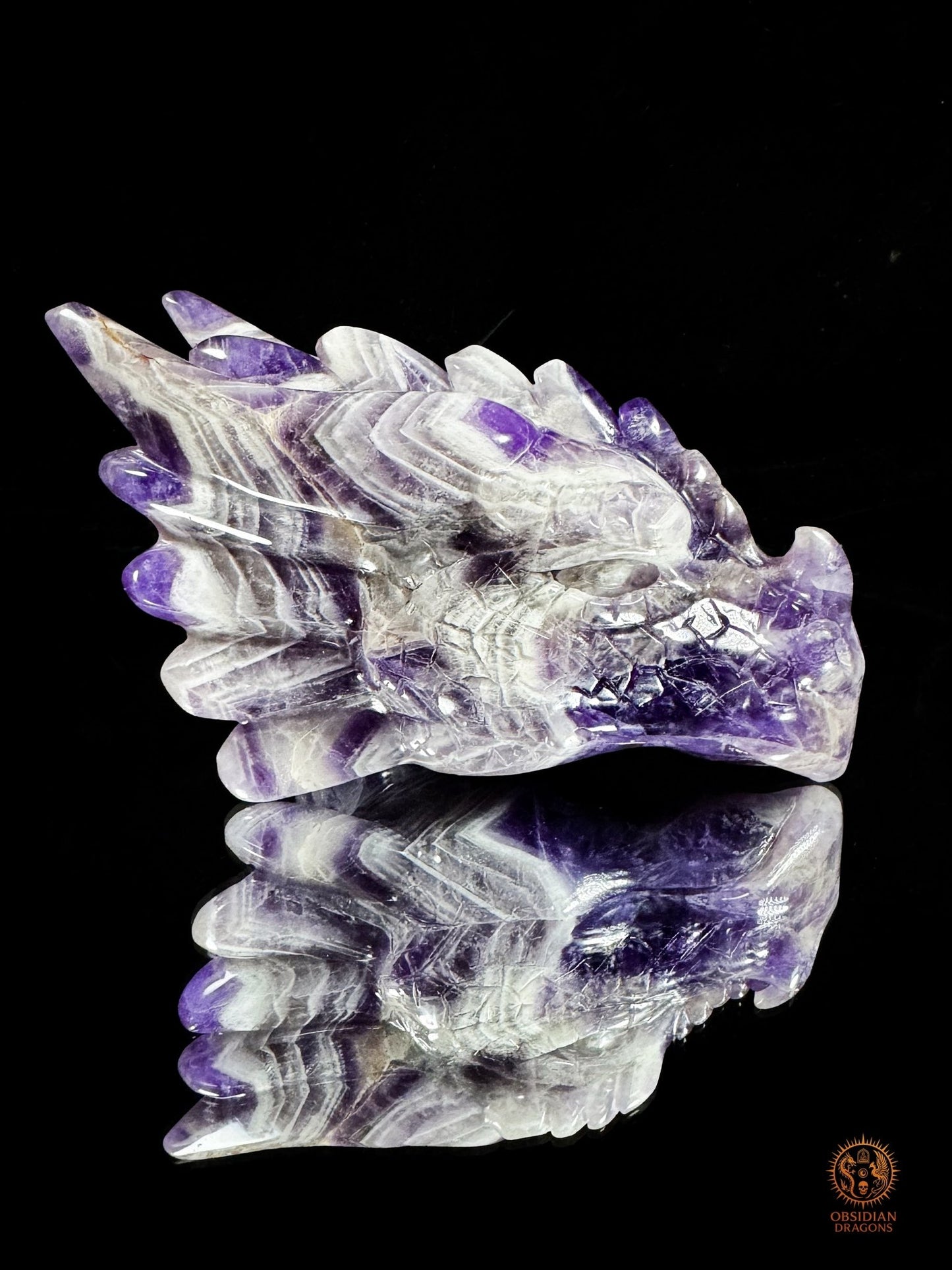 Tête de dragon en améthyste chevron - Le visionnaire | obsidian dragons