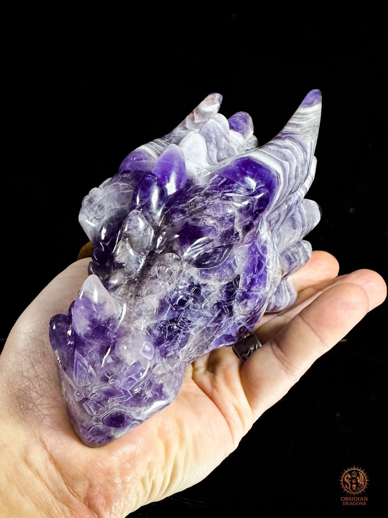 Tête de dragon en améthyste chevron - Le visionnaire | obsidian dragons