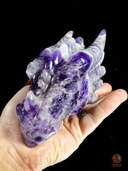 Tête de dragon en améthyste chevron - Le visionnaire | obsidian dragons