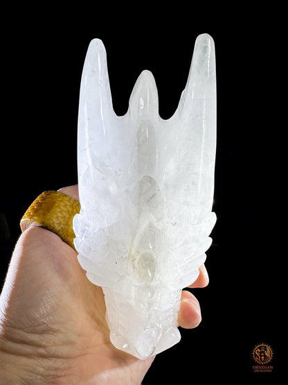 Tête de dragon en cristal de roche - Gardien de lumière | obsidian dragons