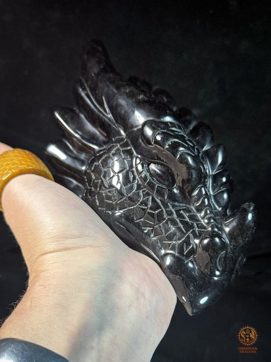 Tête de dragon en obsidienne noire – Miroir de l’esprit | obsidian dragons
