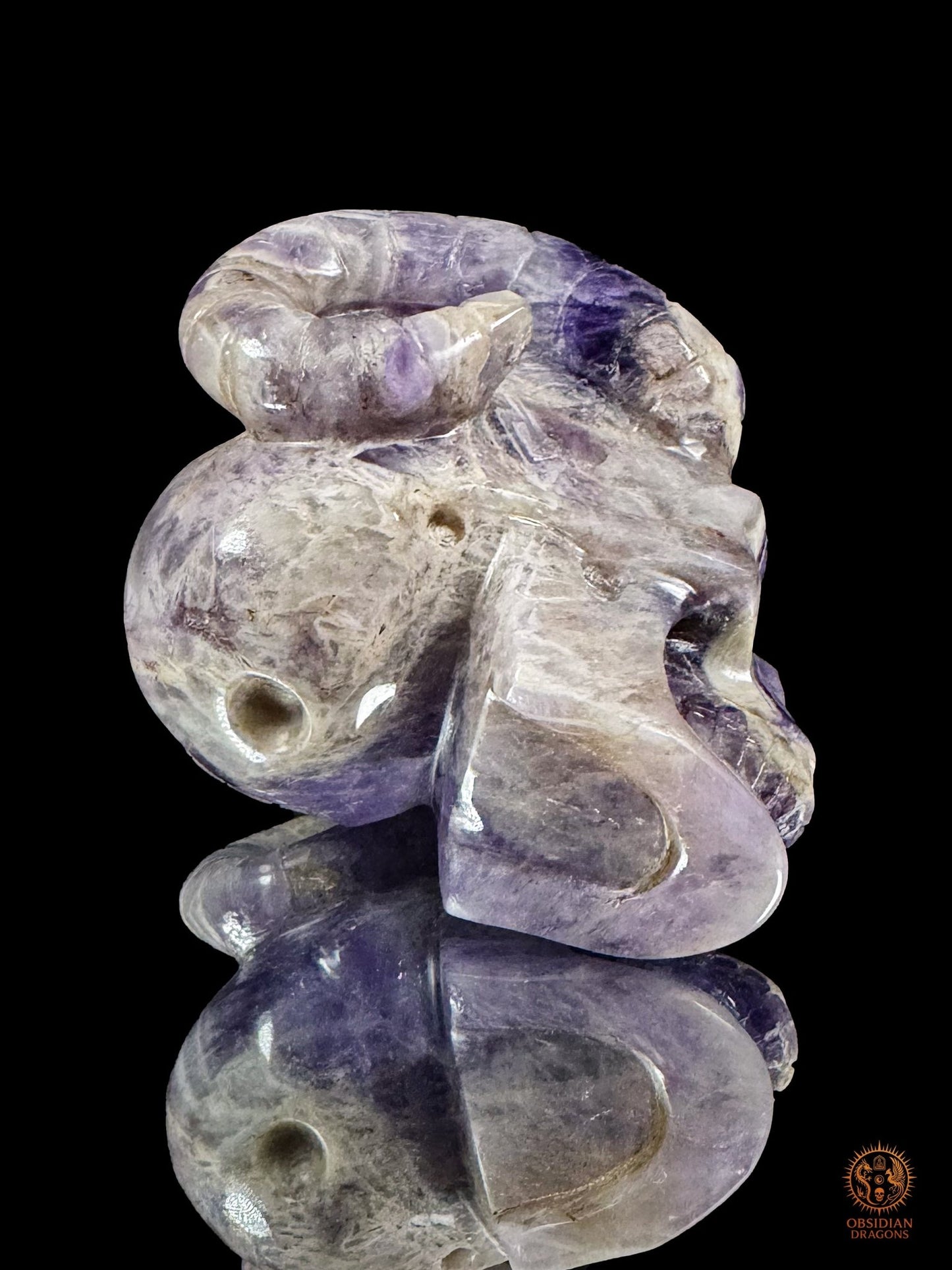 Crâne cornu en améthyste chevron - Crâne d'oracle - obsidian dragons