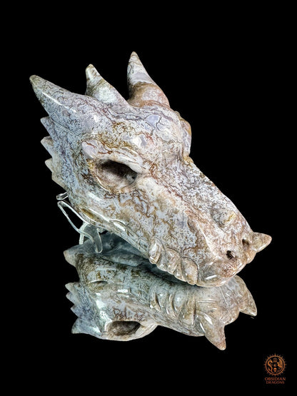 Crâne de dragon en agate mousse – Racine du temps | obsidian dragons