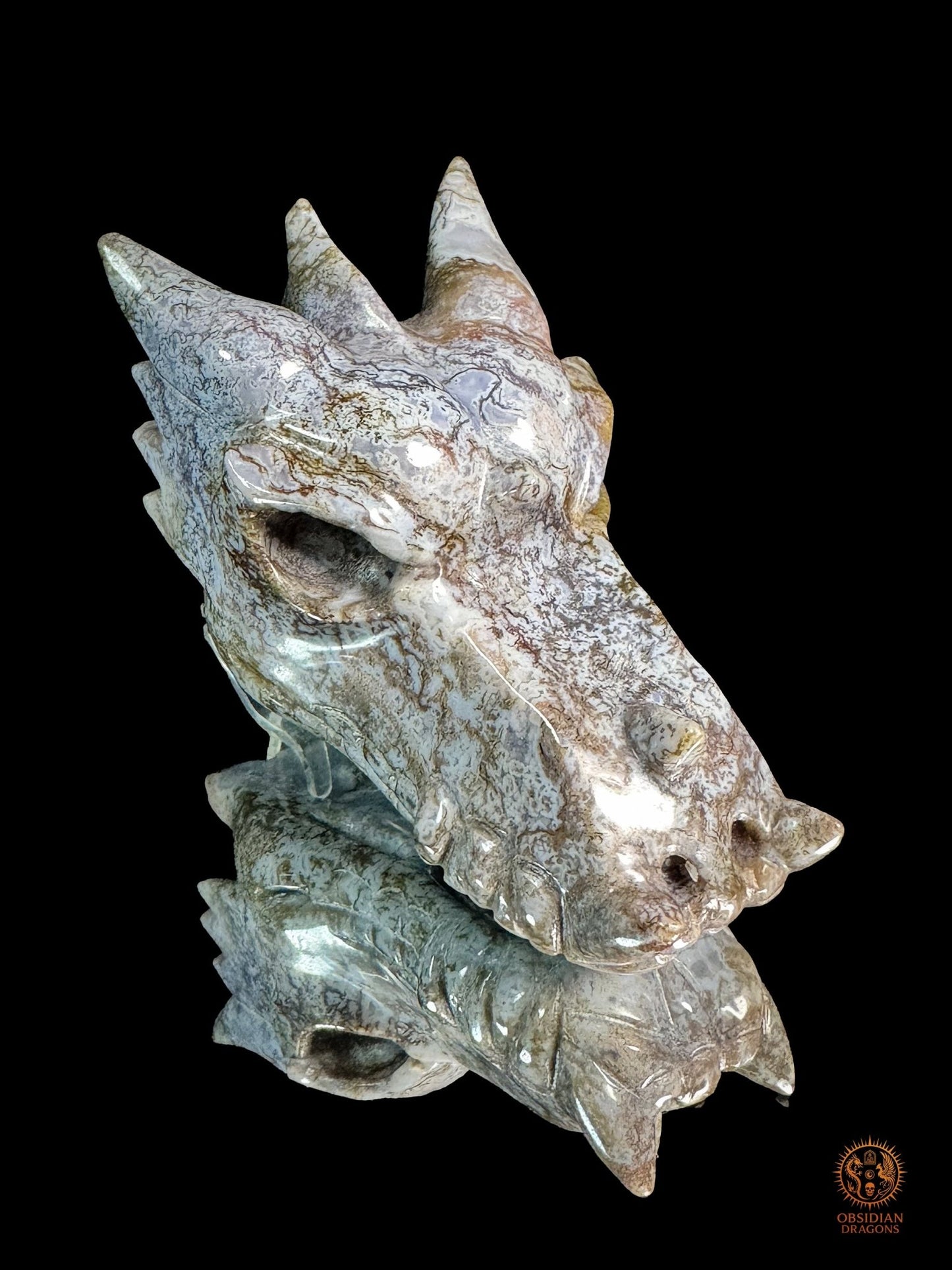 Crâne de dragon en agate mousse – Racine du temps | obsidian dragons