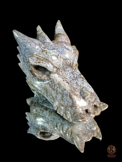Crâne de dragon en agate mousse – Racine du temps | obsidian dragons
