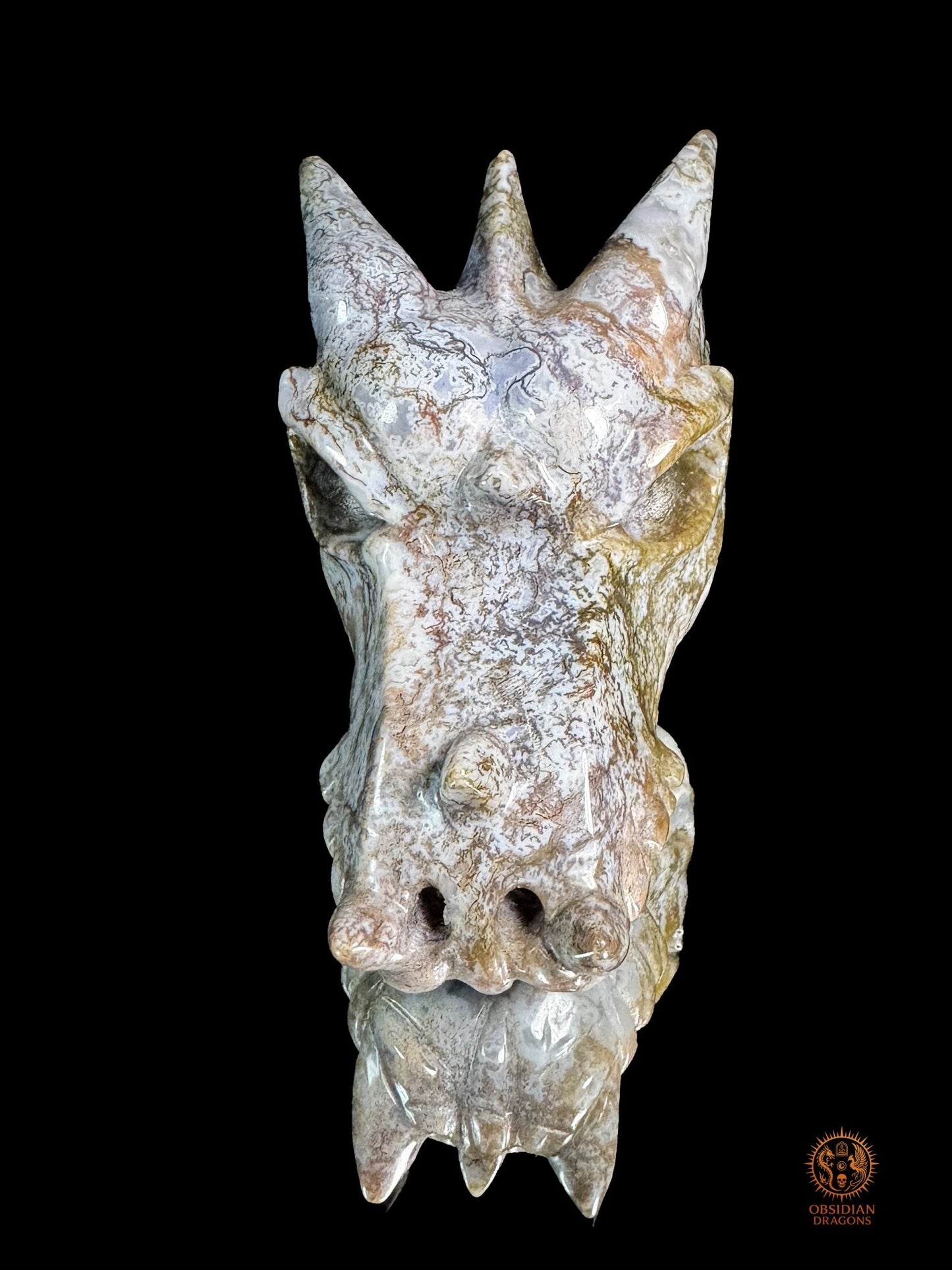 Crâne de dragon en agate mousse – Racine du temps | obsidian dragons