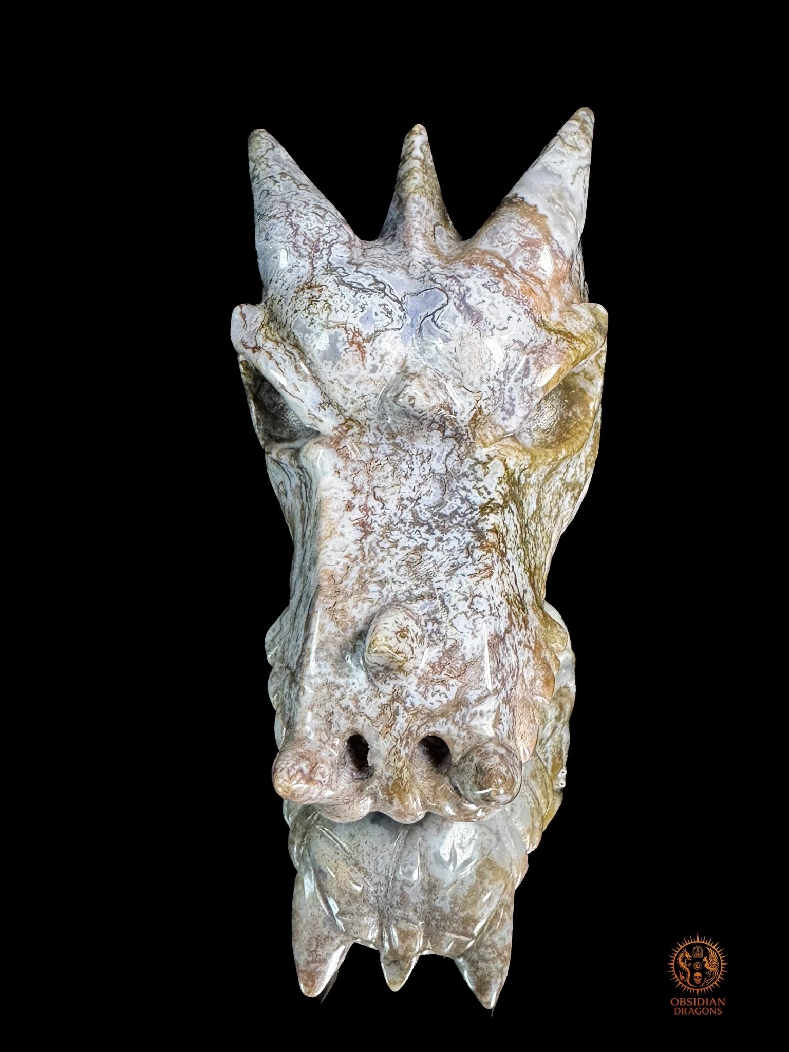 Crâne de dragon en agate mousse – Racine du temps | obsidian dragons