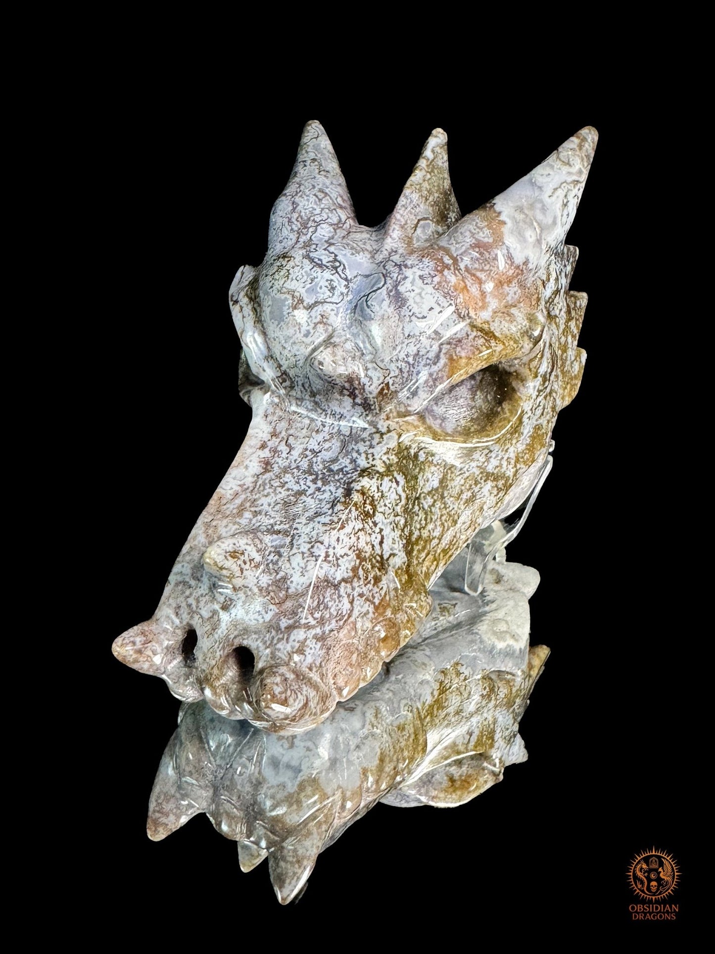 Crâne de dragon en agate mousse – Racine du temps | obsidian dragons