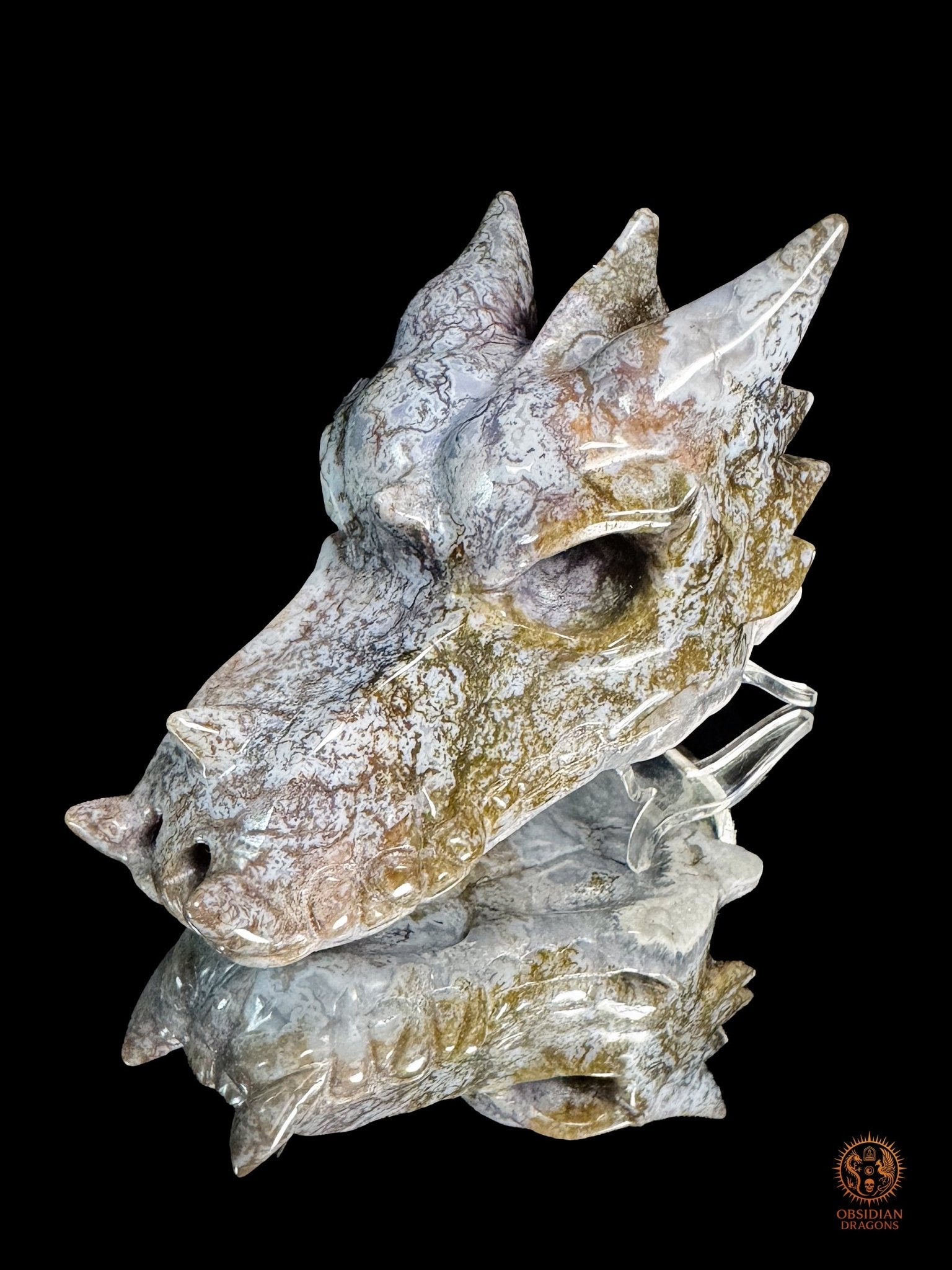Crâne de dragon en agate mousse – Racine du temps | obsidian dragons