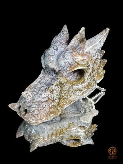 Crâne de dragon en agate mousse – Racine du temps | obsidian dragons