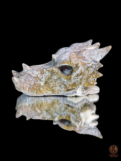 Crâne de dragon en agate mousse – Racine du temps | obsidian dragons