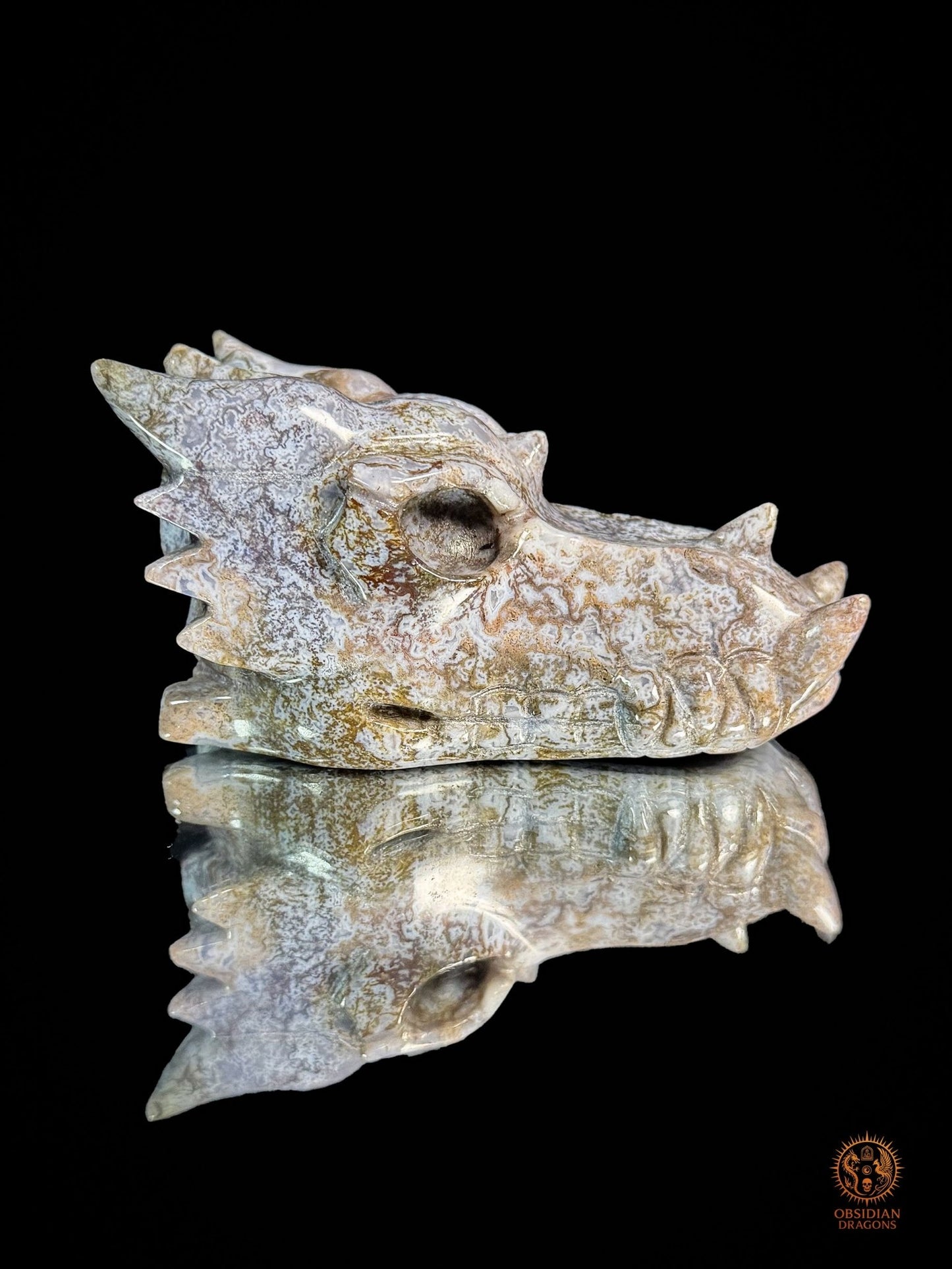 Crâne de dragon en agate mousse – Racine du temps | obsidian dragons
