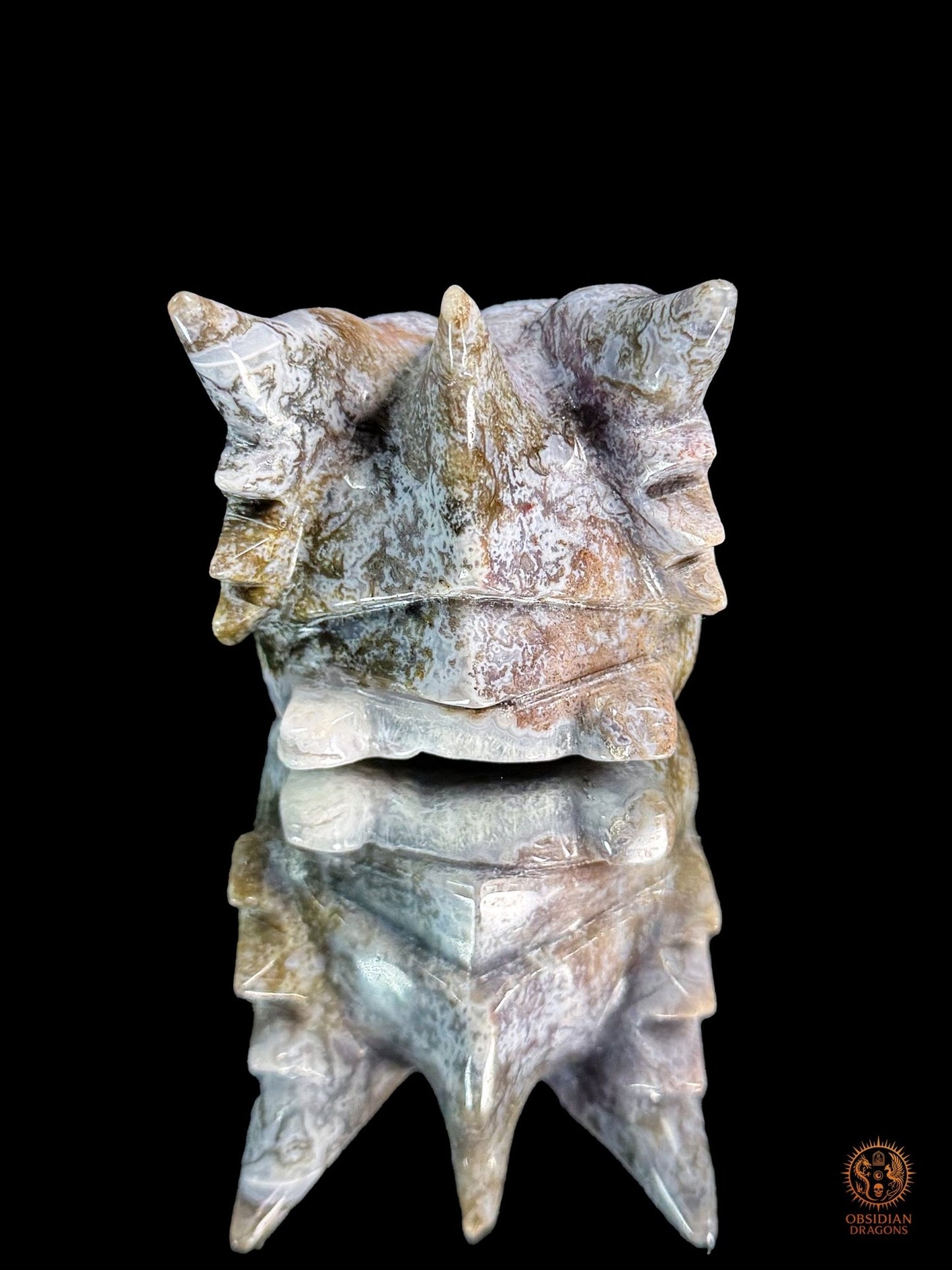 Crâne de dragon en agate mousse – Racine du temps | obsidian dragons