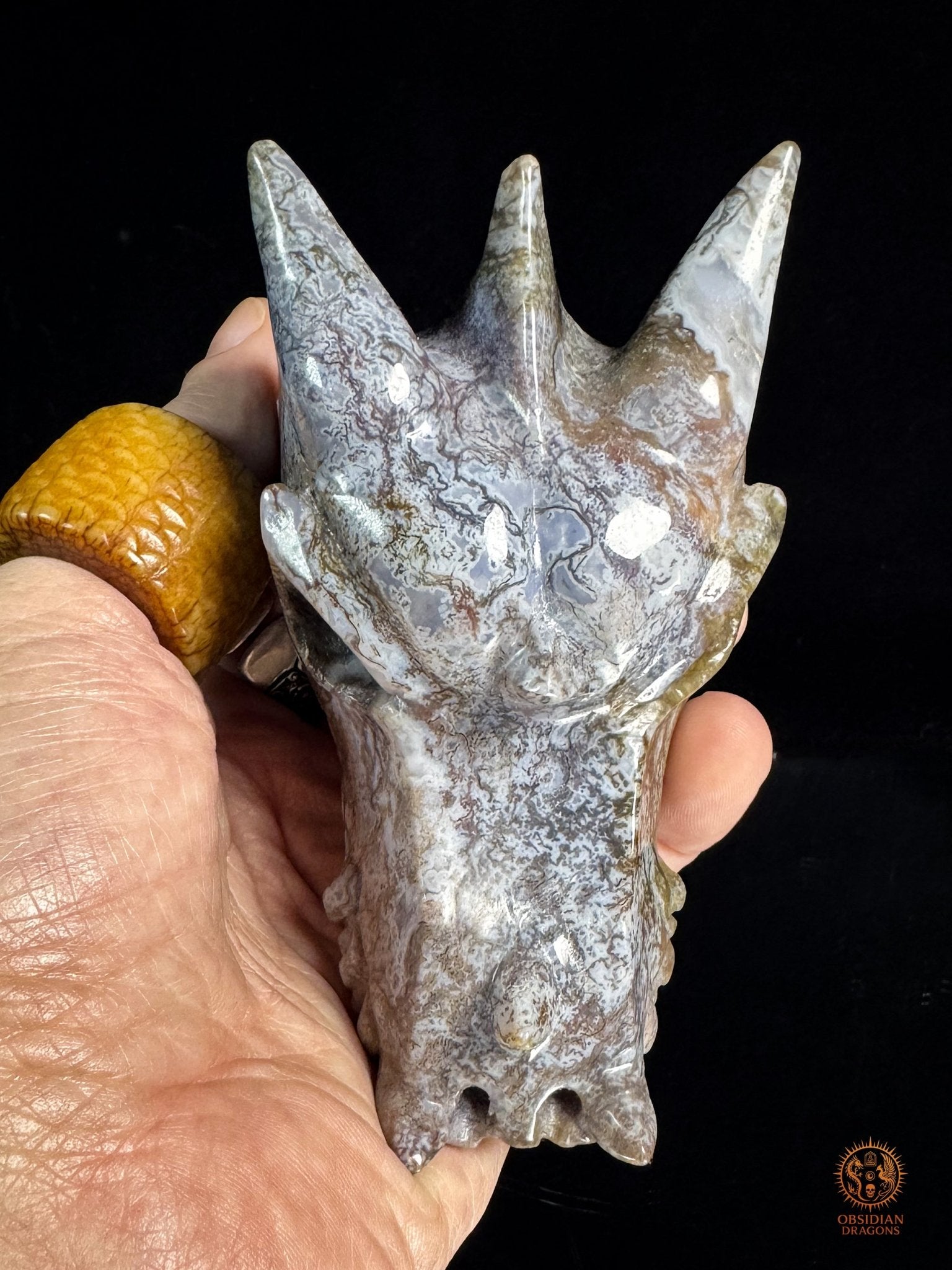 Crâne de dragon en agate mousse – Racine du temps | obsidian dragons