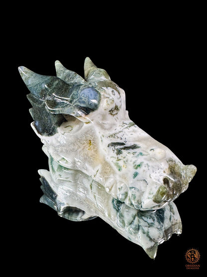 Crâne de dragon en agate mousse – Souffle de pierre - obsidian dragons