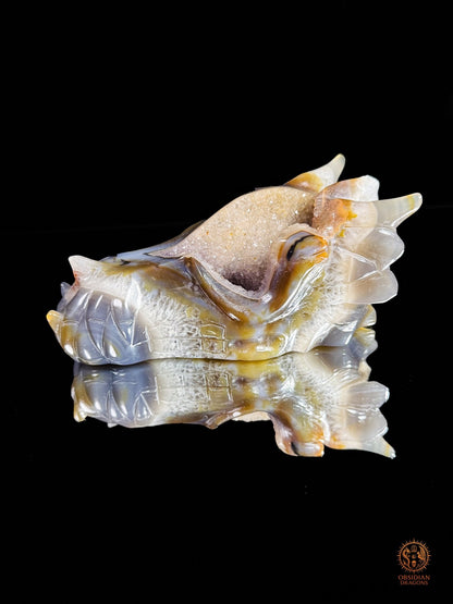 Crâne de dragon en géode de quartz & agate – Ancrage | obsidian dragons