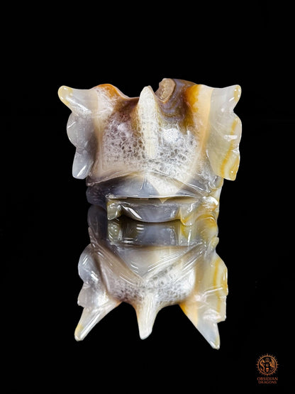 Crâne de dragon en géode de quartz & agate – Ancrage | obsidian dragons