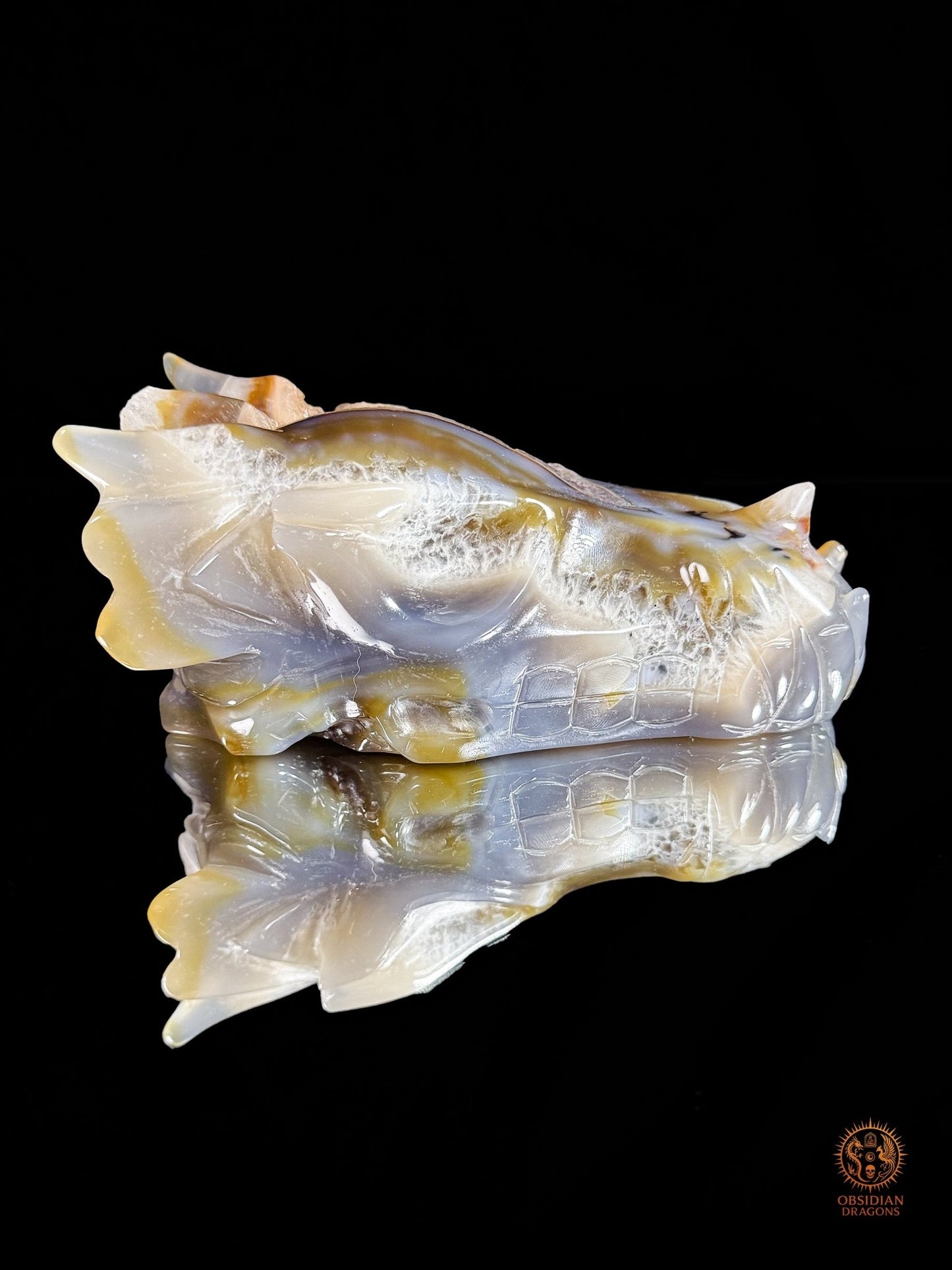 Crâne de dragon en géode de quartz & agate – Ancrage | obsidian dragons