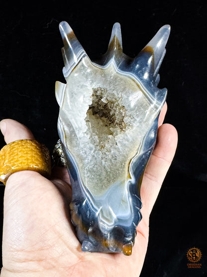 Crâne de dragon en géode de quartz & agate – Gardien du Centre | obsidian dragons