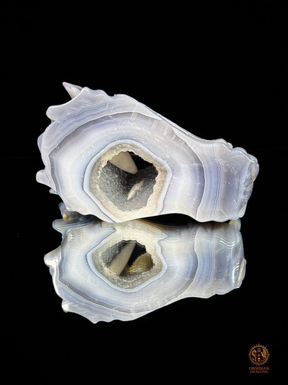 Crâne de dragon en géode de quartz à inclusion de calcite | obsidian dragons