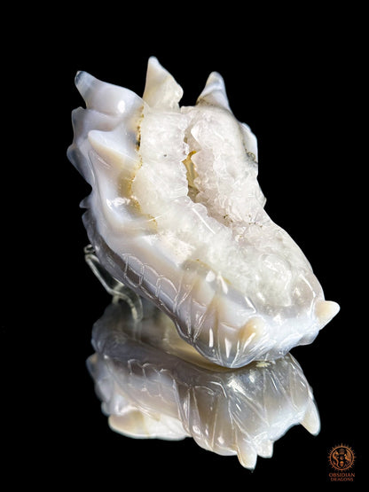 Crâne de dragon en géode de quartz, agate - Axe cristallin | obsidian dragons