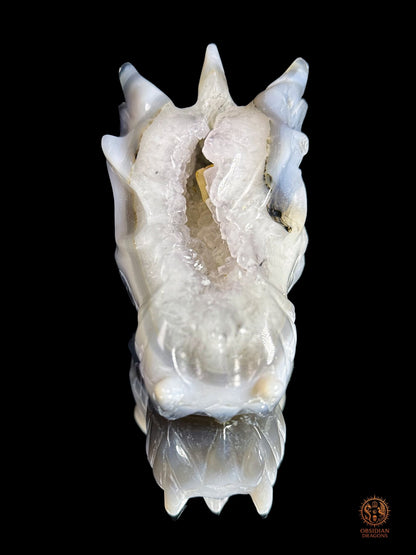 Crâne de dragon en géode de quartz, agate - Axe cristallin | obsidian dragons