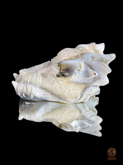 Crâne de dragon en géode de quartz, agate - Axe cristallin | obsidian dragons
