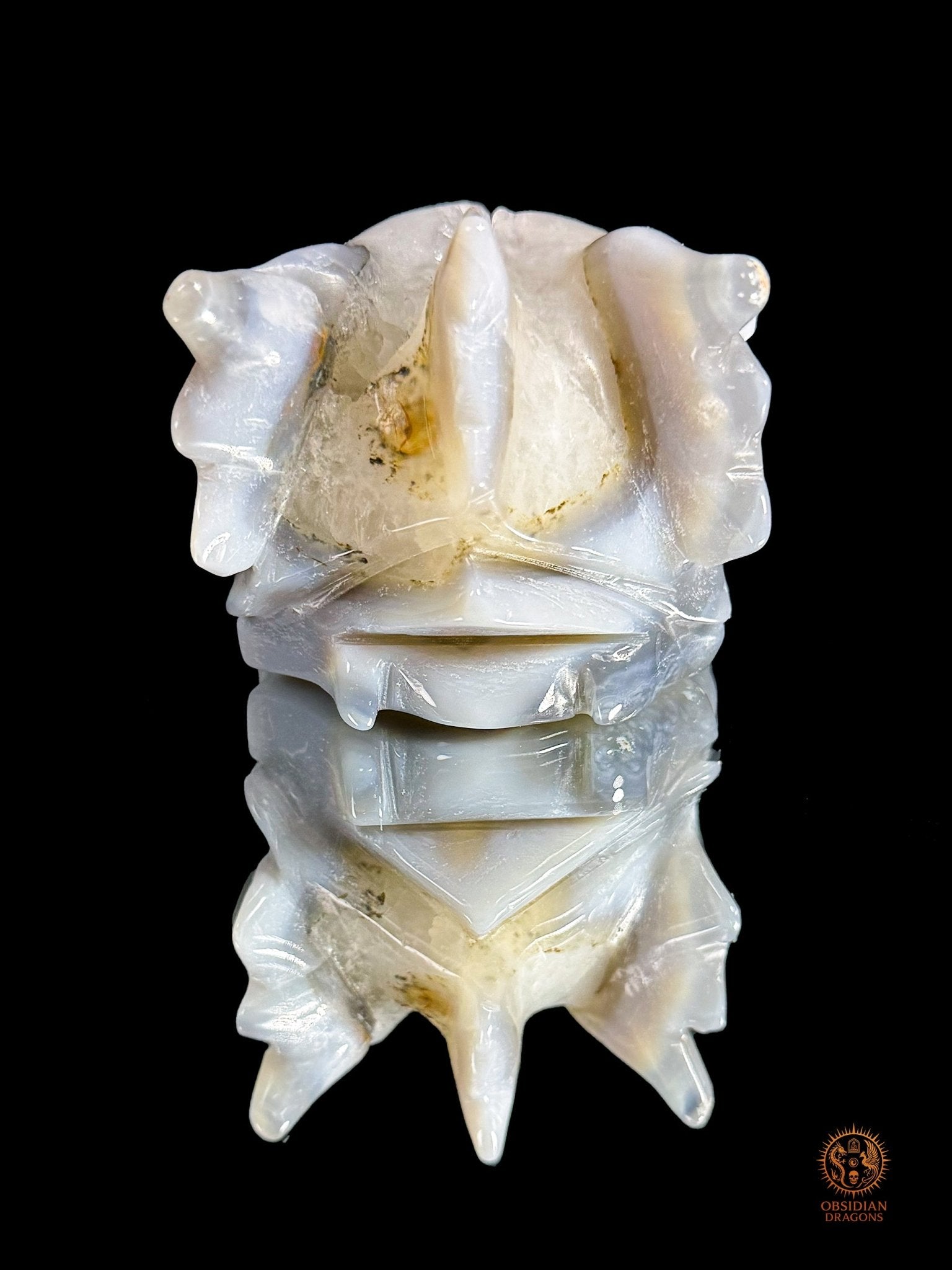 Crâne de dragon en géode de quartz, agate - Axe cristallin | obsidian dragons
