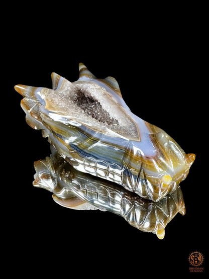 Crâne de dragon en géode de quartz, agate – Transmutation | obsidian dragons