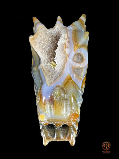 Crâne de dragon en géode de quartz, agate – Transmutation | obsidian dragons