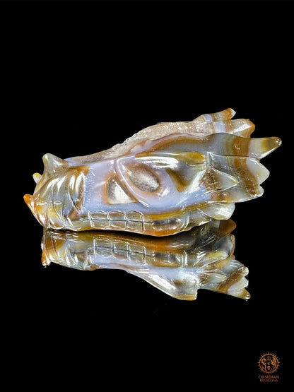 Crâne de dragon en géode de quartz, agate – Transmutation | obsidian dragons