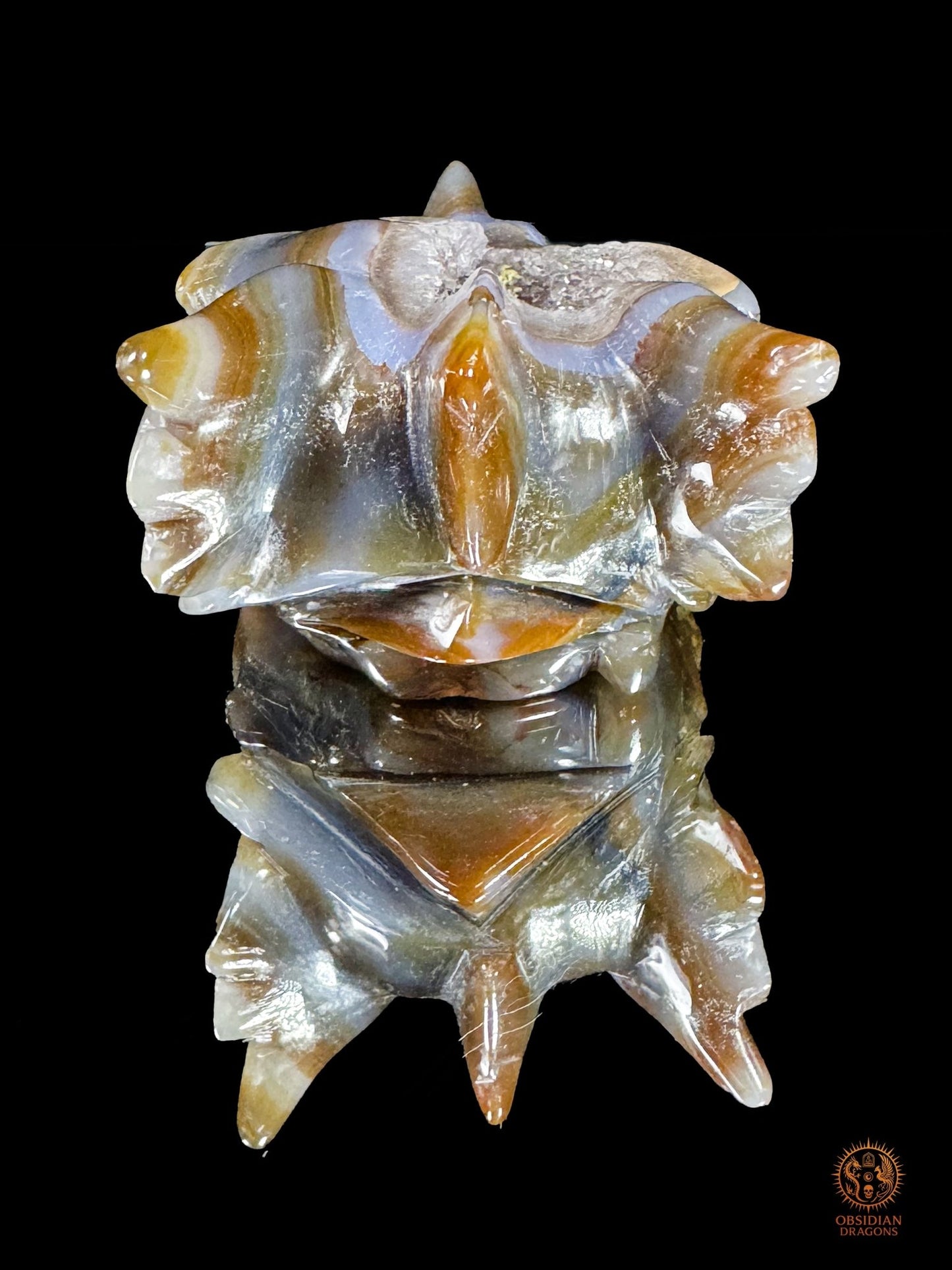 Crâne de dragon en géode de quartz, agate – Transmutation | obsidian dragons
