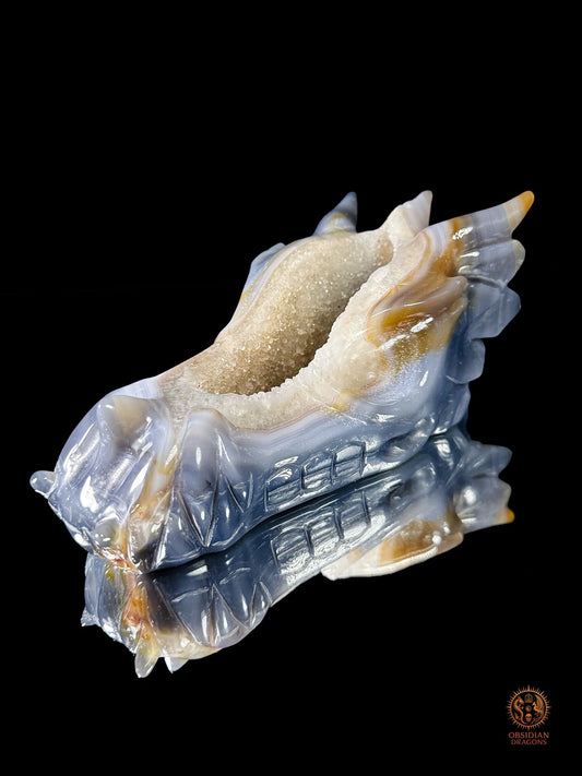 Crâne de dragon en géode de quartz & agate – Axe intérieur | obsidian dragons
