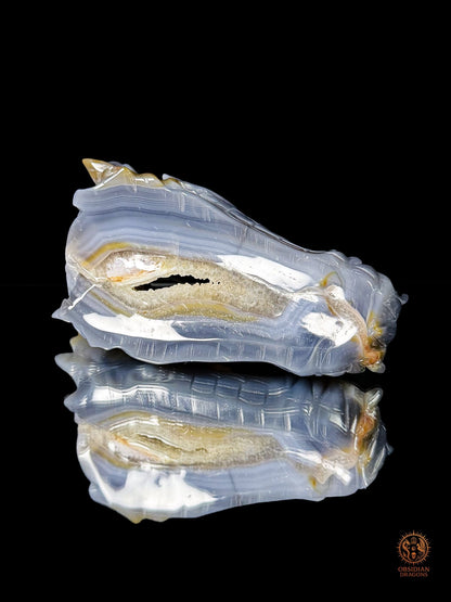 Crâne de dragon en géode de quartz & agate – Axe intérieur | obsidian dragons