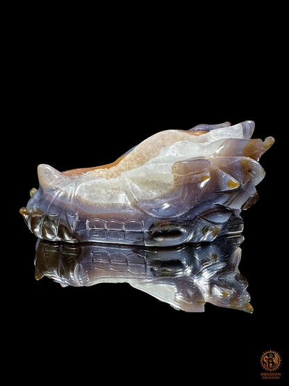 Profil droit du crâne de dragon en agate et géode de quartz sur fond noir réfléchissant, avec mâchoire, orbite et cristaux visibles