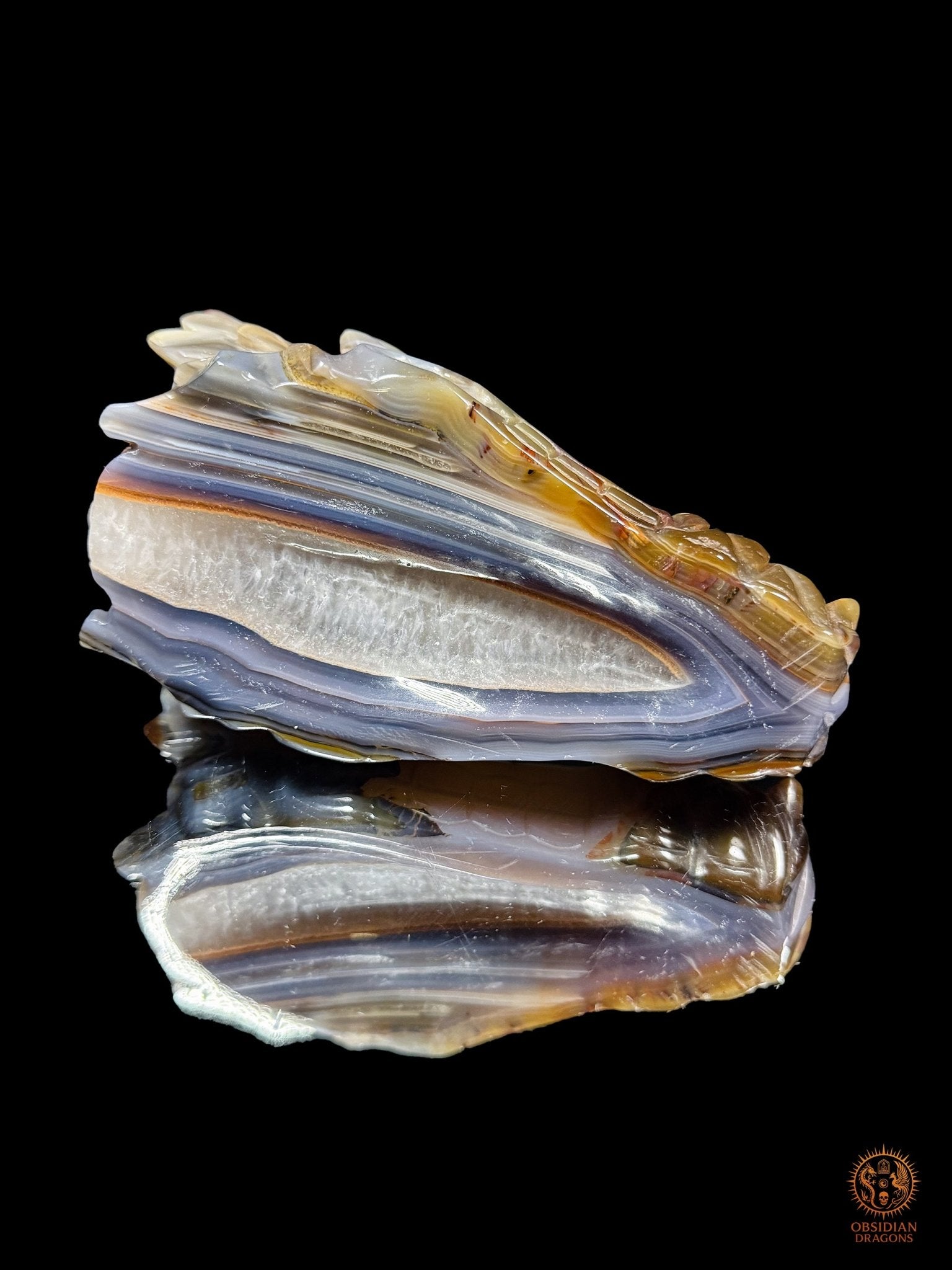 Vue de la base du crâne de dragon en géode de quartz du Brésil, révélant les couches d’agate bleu-gris et le cœur cristallin