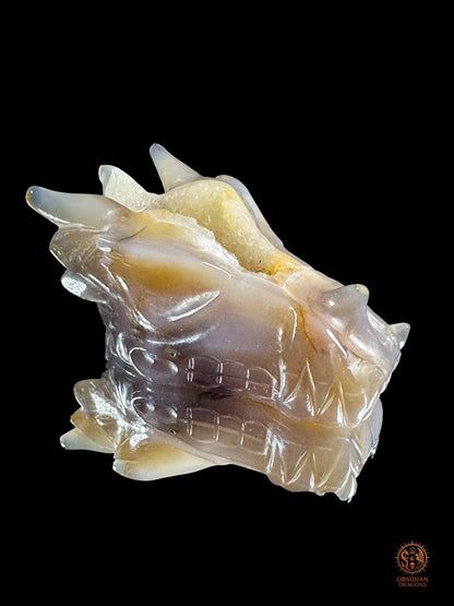 Crâne de dragon en géode de quartz – Lumière intérieure | obsidian dragons