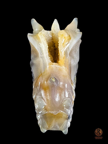 Crâne de dragon en géode de quartz – Lumière intérieure | obsidian dragons