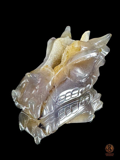 Crâne de dragon en géode de quartz – Lumière intérieure | obsidian dragons