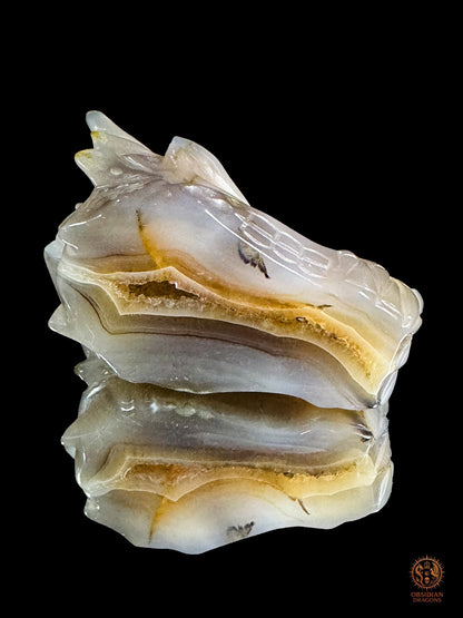 Crâne de dragon en géode de quartz – Lumière intérieure - obsidian dragons